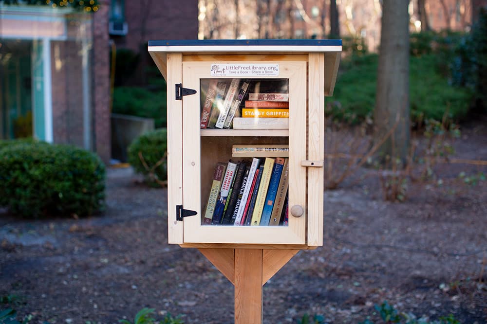 Colorful Little Free Library box filled with children's books in a neighborhood setting
